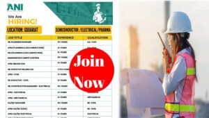 Ani Integrated Recruitment