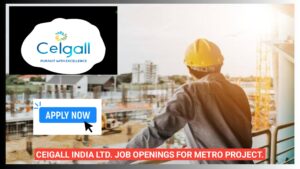 CEIGALL INDIA LTD. Job Openings for Metro Project.