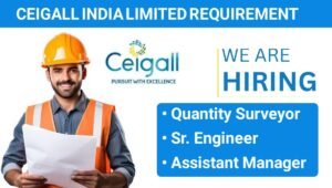 Ceigall India Ltd Job Opportunity