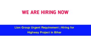Lion Group Urgent Requirement